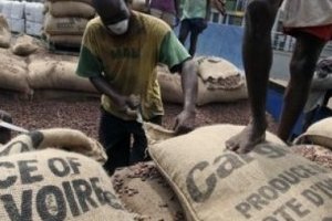 Agriculture : Cargill en route vers plus de transparence dans le secteur du cacao
