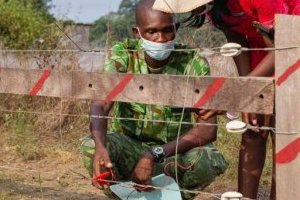 Conflit homme-faune : Une barrière électrique inaugurée près de Gamba
