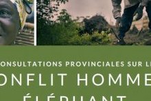 Conflit homme-faune : le ministère des Eaux et forêts annonce des consultations provinciales
