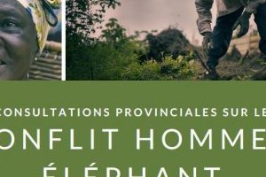 Conflit homme-faune : le ministère des Eaux et forêts annonce des consultations provinciales
