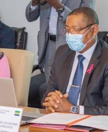 Le Projet d’appui à la diversification de l’économie gabonaise officiellement lancé
