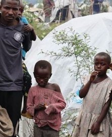 RDC : 1,3 million de personnes déplacées par les violences dans l’Est
