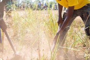 Afrique australe : des millions de personnes menacées par la faim alors que la période de soudure démarre
