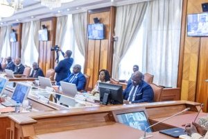 Communiqué final du conseil des ministres du Gabon du 19 décembre 2024
