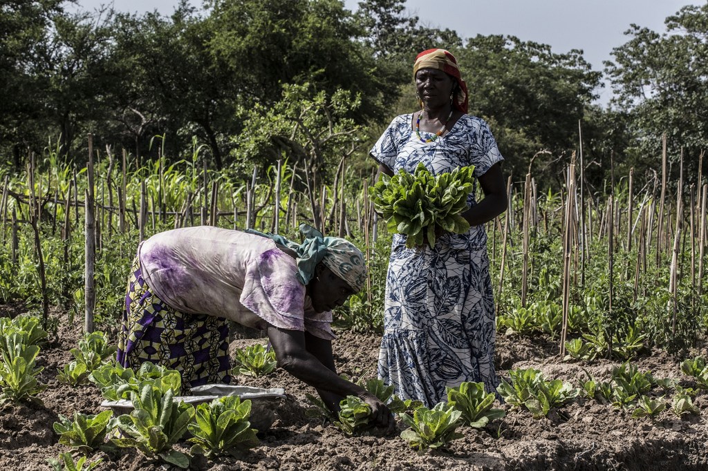 « Les Centrafricains ont soif de paix », relève l’ONU
