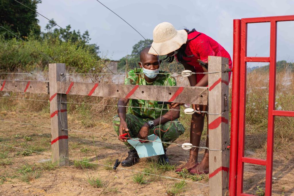 Conflit homme-faune : Une barrière électrique inaugurée près de Gamba
