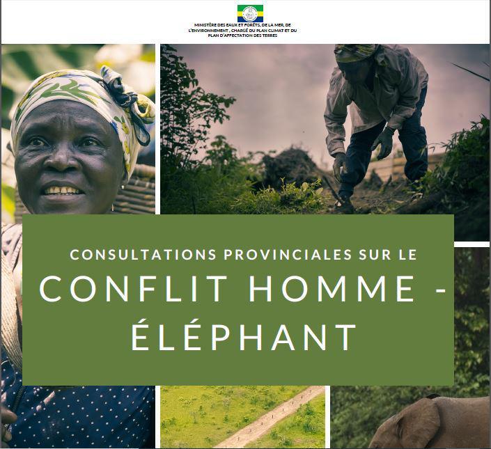 Conflit homme-faune : le ministère des Eaux et forêts annonce des consultations provinciales
